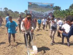 Kapolres Kupang Tanam Jagung Bersama Gubernur NTT