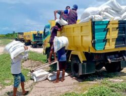 BPC HIPMI Kota Kupang Bersama BPC Sabu Raijua Pasarkan Ratusan Ton Garam Sabu