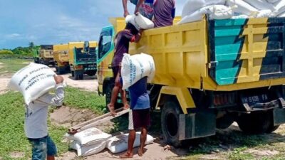 BPC HIPMI Kota Kupang Bersama BPC Sabu Raijua Pasarkan Ratusan Ton Garam Sabu