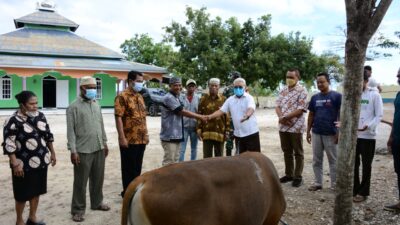 Pemkot Serahkan 16 Hewan Kurban untuk Masjid di Kota Kupang