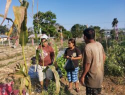 Lapaska, Warga Binaan Pemasyarakatan, Si Petani dan Masyarakat