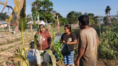 Lapaska, Warga Binaan Pemasyarakatan, Si Petani dan Masyarakat