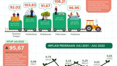 Nilai Tukar Petani, Juli 2022 Menurun 0,32 Persen, Jika Dibandingkan Dengan Periode Bulan Juni 2022