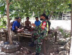 Lakukan Komsos,Babinsa Serda Arifudin Himbau Warga Antisipasi Hama Belalang Pada Tanaman