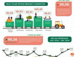 Nilai Tukar Petani Januari 2023 Turun 0,05 Persen Jika Dibandingkan dengan Desember 2022