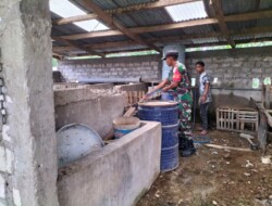 Lewat Komsos,Babinsa 1613-03/Katikutana Sambangi dan Beri Motivasi Peternak Babi Di desa Binaan