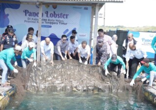 Gubernur VBL bersama Menteri KKP Panen Lobster di Kawasan Mulut Seribu Rote Ndao