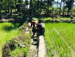 Jelang Penutupan,Satgas TMMD ke-117 Bersama Masyarakat Tuntaskan Pekerjaan