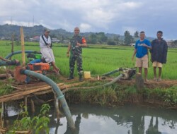 Ditengah Sawah,Babinsa 1613 -01/Loli Lakukan Komsos Bersama Dengan Warga Binaan