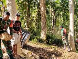 Wujudkan Lingkungan Sehat,Babinsa Koramil 1613-01/Loli Bantu Warga Bangun MCK