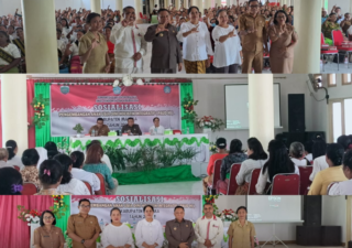 Bupati Malaka Buka Kegiatan Sosialisasi Pengembangan Usia Dini Holistik Integratif