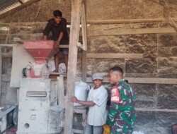 Pastikan Persediaan Beras di desa Binaan,Babinsa 1613 – 03/Katikutana Tinjau Penggilingan Padi