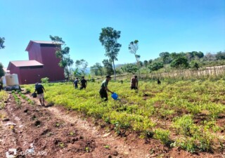 Peran Aktif Babinsa Koramil 1613-03/Katikutana Bantu Petani Siram Tanaman Cabai