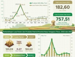 Neraca Perdagangan NTT September 2023 Alami Surplus US$ 0,83 Juta