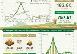 Neraca Perdagangan NTT September 2023 Alami Surplus US$ 0,83 Juta