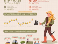 Nilai Tukar Petani, Oktober 2023 Turun 0,14 Persen Jika Dibandingkan September