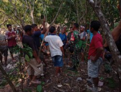 Waspadai Karhutla,Babinsa desa Zalakadu Lakukan Komsos Bersama Masyarakat