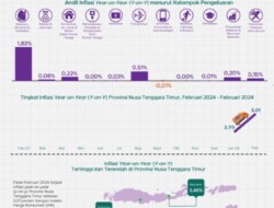 Februari 2024, Inflasi Tertinggi Terjadi di Maumere sebesar 3,46 Persen