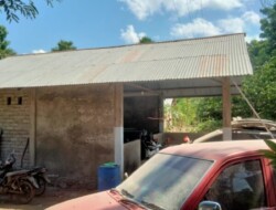 Atap Rumah Warga Korban Terdampak Erupsi Gunung Api Lewotobi Laki-Laki di Desa Nurabelen Kecamatan Ile Bura, milik Samson Nama Ola yang mulai karat berwarna merah, terancam bocor semua jika tidak segera diselamatkan: Foto (SMO/OLA/Ranakanews.com)