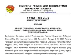 Pemprov NTT Buka 2.571 CPNS 2024, Pendaftaran Hanya Melalui Link Berikut
