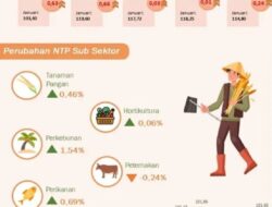 Nilai Tukar Petani Provinsi NTT Januari 2025 Naik 0,63 Persen Jika Dibandingkan Desember 2024