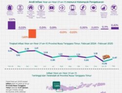 Februari 2025, Provinsi NTT Alami Inflasi sebesar 0,47 Persen dengan IHK sebesar 106, 50