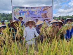 Implementasi Program Good Agriculture Practices dan Panen Raya Sebagai Bukti Nyata Komitmen GNPIP NTT