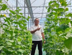 Politeknik Pertanian Negeri Kupang Bangun 4 Greenhouse Modern untuk Cetak Inovator Hortikultura