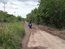 Genangan Banjir Lumpur Gunung Lewotobi Dekat TPI Nurabelen Bisa Tutup Badan Jalan ke Laut