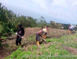 Model Waralaba untuk Ketahanan Pangan di Desa Natakoli, Kecamatan Mapitara