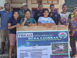 Sekolah Lapang di Desa Langkas Dorong Peternak Olah Limbah Jadi Sumber Pendapatan