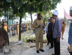 Wagub NTT Serahkan Bantuan Hewan Kurban untuk Masjid Al-Muhajirin Oebufu