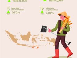 Nilai Tukar Petani NTT Mei 2026 Naik 0,45 Persen