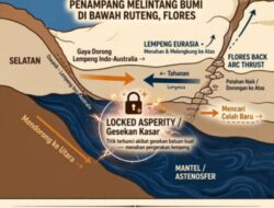 Gempa M7,7 Flores Buka Kembali “Bahasa Lempeng”, Warga Manggarai Diminta Tak Panik Hadapi Gempa Susulan