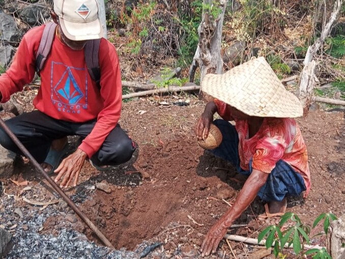 Para petani Mente di Balaweling 1 Solor Barat yang tergabung dalam Poktan Lamalewo, salah satu Poktan yang sedang menggali lubang siap tanam Mente bantuan Pusat, yang terkoordinasi melalui Bidang Produksi, Pengolahan dan Pemasaran Hasil Perkebunan, Dinas Perkebunan dan Peternakan (Disbunter) Flotim, dengan kucuran APBN tahun 2026 sebesar Rp53 M lebih. Kegiatan ini didampingi Tim Disbunter Flotim pada 8 Oktober 2026: Foto (AM/OLA/Ranakanews.com)